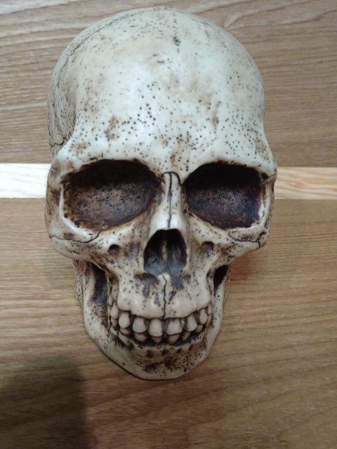 Á@hN@[@XJ@@퐻  CeA/Ct 