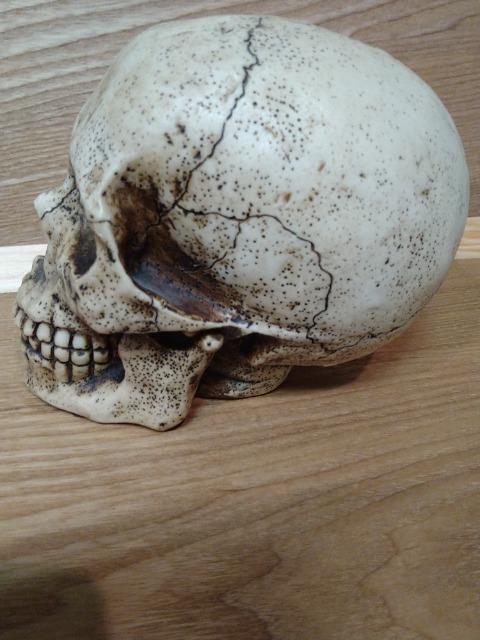 Á@hN@[@XJ@@퐻  CeA/Ct 