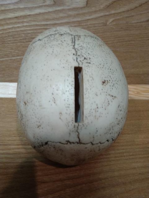 Á@hN@[@XJ@@퐻  CeA/Ct 