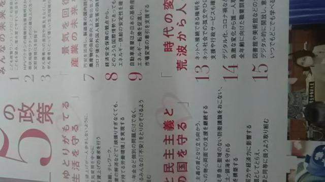 三原じゅん子、新聞折り込み広告  自民党 < ホビー  三原じゅん子、新聞折り込み広告  自民党 < ホビーの