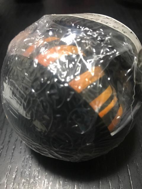 いきもの大図鑑 すずめばち01 オオスズメバチ 未開封 < ホビー  いきもの大図鑑 すずめばち01 オオスズメバチ 未開封  < ホビーの