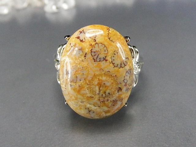 菊花石コーラル化石指輪リングAAA天然石一点物18号U0597RYa < 女性アクセサリー/時計  菊花石コーラル化石指輪リングAAA天然石一点物18号U0597RYa  < 女性アクセサリー/時計の