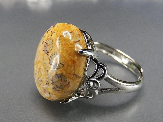 菊花石コーラル化石指輪リングAAA天然石一点物18号U0597RYa < 女性アクセサリー/時計  菊花石コーラル化石指輪リングAAA天然石一点物18号U0597RYa < 女性アクセサリー/時計の