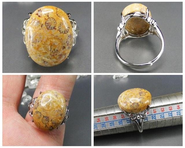 菊花石コーラル化石指輪リングAAA天然石一点物18号U0597RYa < 女性アクセサリー/時計  菊花石コーラル化石指輪リングAAA天然石一点物18号U0597RYa < 女性アクセサリー/時計の