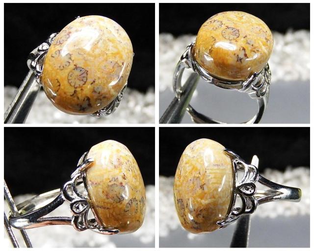 菊花石コーラル化石指輪リングAAA天然石一点物18号U0597RYa < 女性アクセサリー/時計  菊花石コーラル化石指輪リングAAA天然石一点物18号U0597RYa < 女性アクセサリー/時計の