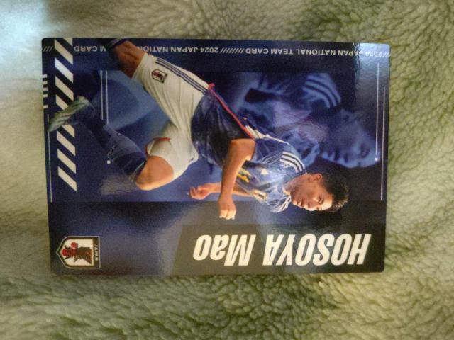 カルビー サッカーチップス カード < トレーディングカード カルビー サッカーチップス カード < トレーディングカードの