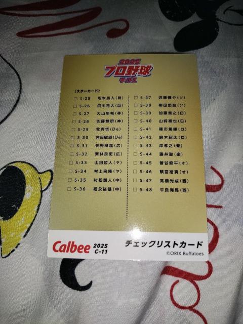 ☆2025 カルビー 第A弾!! オリックス・バファローズ マスコットキャラクター バファローブル C-11☆ < トレーディングカード ☆2025 カルビー 第A弾!! オリックス・バファローズ マスコットキャラクター バファローブル C-11☆ < トレーディングカードの