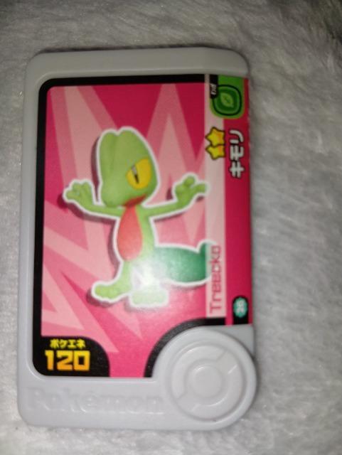 ポケモンフレンダ*キモリ*未使用 < トレーディングカード ポケモンフレンダ*キモリ*未使用 < トレーディングカードの