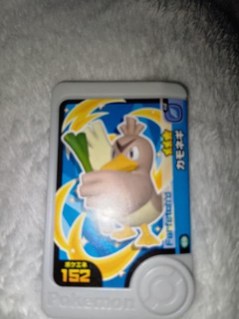 �|�P�����t�����_���J���l�M�����g�p  �� �g���[�f�B���O�J�[�h�� 