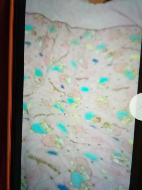 リとルついんスターずマイクロ毛布150×200p ピンク系 < ホビー  リとルついんスターずマイクロ毛布150×200p ピンク系  < ホビーの