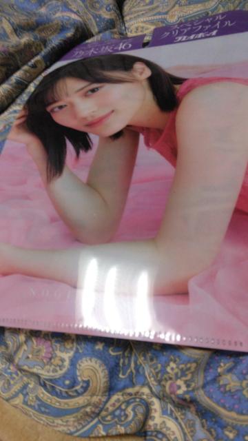 乃木坂46の両面クリアファイル < タレントグッズ  乃木坂46の両面クリアファイル  < タレントグッズの