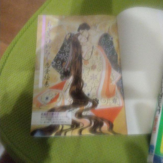 源氏物語ナビBOOK あさきゆめみしの世界 大和和紀 < 本/雑誌  源氏物語ナビBOOK あさきゆめみしの世界 大和和紀 < 本/雑誌の