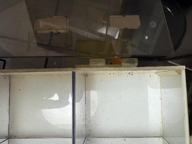 使用済みシェクターブランド名入ピックケース20枡 < ホビー  使用済みシェクターブランド名入ピックケース20枡 < ホビーの