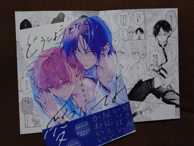 BL[tbgtyǂ悤ȂĂz؂炫 