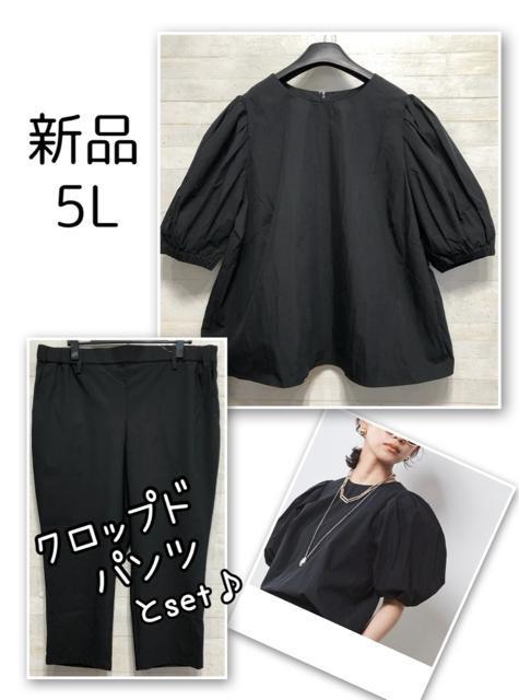 �V�i��5L�􍕁�p�t�X���[�u�u���E�X���N���b�v�h�p���c���Z�b�g�Ł�Q789  �� �����t�@�b�V������ 