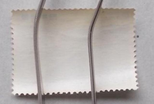 �y���g�p�z��������؎�@�O�͘p�@�P�� �� �z�r�[�� 