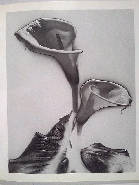 ���}���E���C�ʐ^�W��APERTURE MASTERS OF PHOTOGRAPHY NUMBER EIGHT�� �� �{/�G���� 