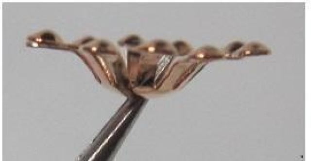 ����A14�{�c��E�S�[���h��6�� �� �y�b�g/��|/���|�� 