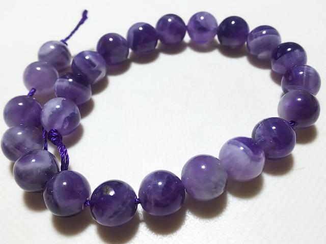 �V�R�΁��V�F�u�����A���W�X�g�@���E���h�W�����@���A �� �����A�N�Z�T���[/���v�� 