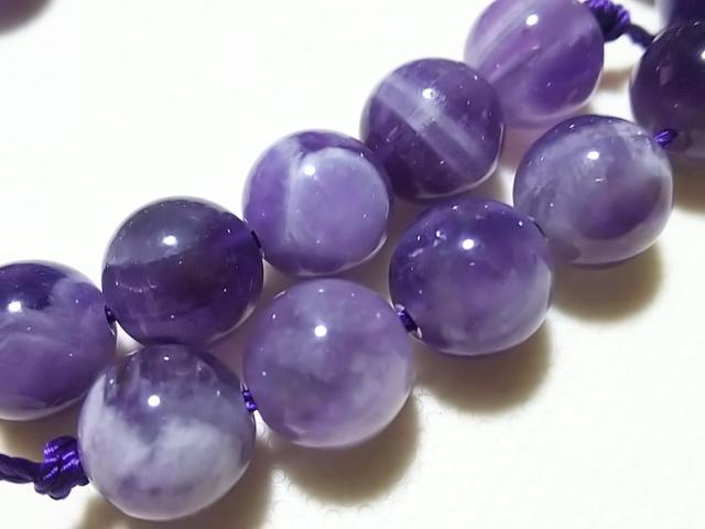 �V�R�΁��V�F�u�����A���W�X�g�@���E���h�W�����@���A �� �����A�N�Z�T���[/���v�� 