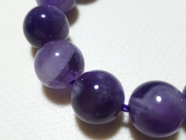 �V�R�΁��V�F�u�����A���W�X�g�@���E���h�W�����@���A �� �����A�N�Z�T���[/���v�� 