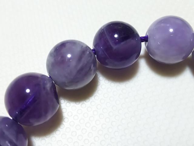 �V�R�΁��V�F�u�����A���W�X�g�@���E���h�W�����@���A �� �����A�N�Z�T���[/���v�� 