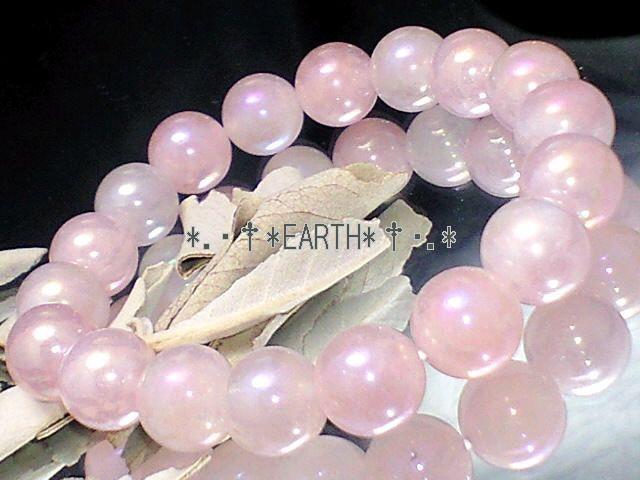 �V�R�΁�10�~���t���b�V�����[�Y�N�H�[�c���F�g���� �� �����A�N�Z�T���[/���v�� 