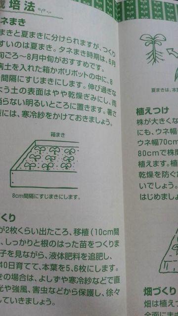 家庭菜園、ブロッコリー栽培方法冊子 < ペット/手芸/園芸  家庭菜園、ブロッコリー栽培方法冊子 < ペット/手芸/園芸の