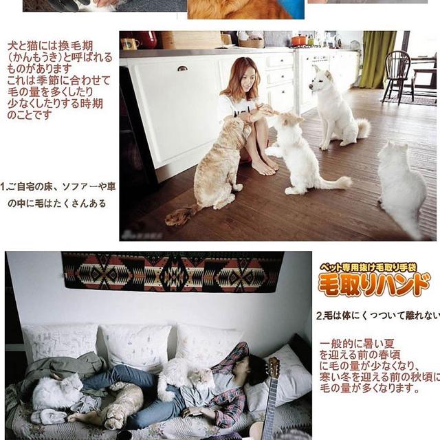 ペット用 毛取りハンド 手袋 左右手セット 猫犬適用 < ペット/手芸/園芸  ペット用 毛取りハンド 手袋 左右手セット 猫犬適用 < ペット/手芸/園芸の