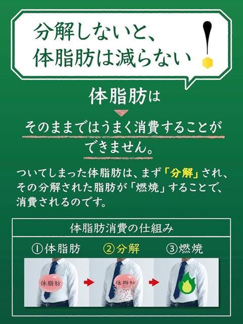 伊右衛門 特茶 緑茶 PREMIUM ペットボトル 500ml PET 24本 1ケース サントリー 全国送料無料 < グルメ/ドリンク  伊右衛門 特茶 緑茶 PREMIUM ペットボトル 500ml PET 24本 1ケース サントリー 全国送料無料 < グルメ/ドリンクの