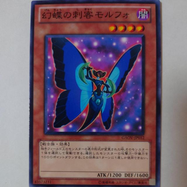 遊戯王 幻蝶の刺客モルフォ ノーマル < トレーディングカード  遊戯王 幻蝶の刺客モルフォ ノーマル  < トレーディングカードの