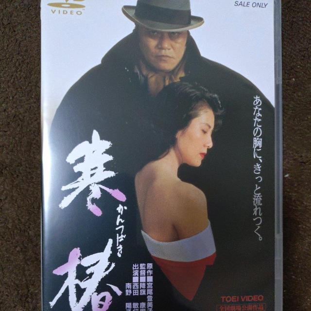 DVD@ւ΂   CD/DVD/rfI 