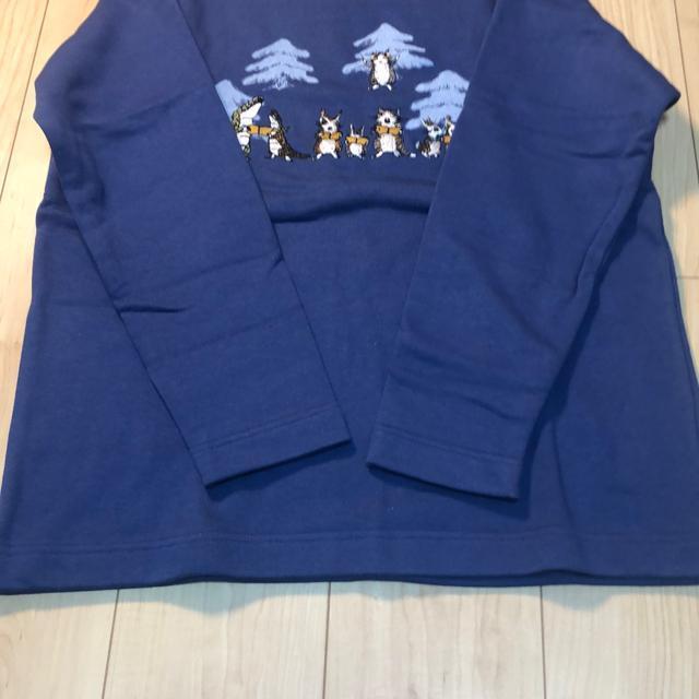 킿ӂ[ǁ@]́@g[i[@lCr[J[@2BTCY  t@bV 