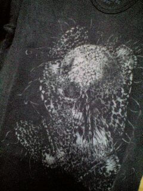 ViROENG XJvgJbg\[ 44  uh 