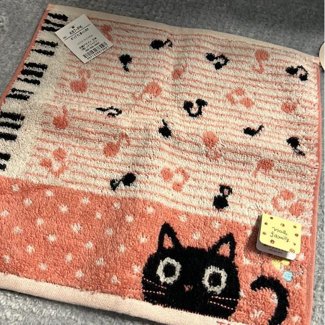 iVijLEObYi3_Zbgj  CeA/Ct 