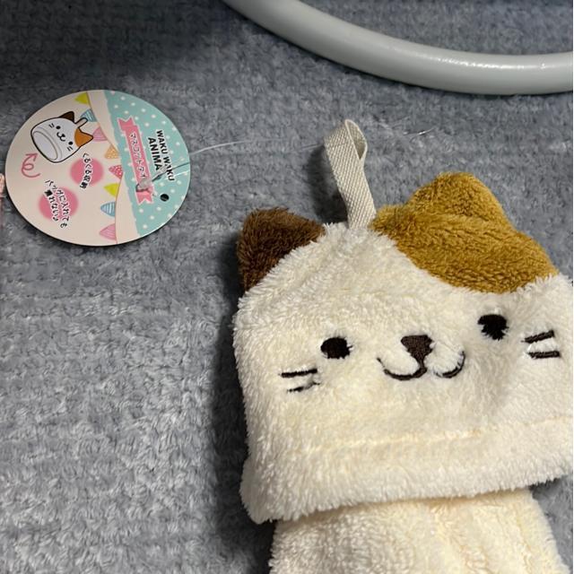 iVijLEObYi3_Zbgj  CeA/Ct 