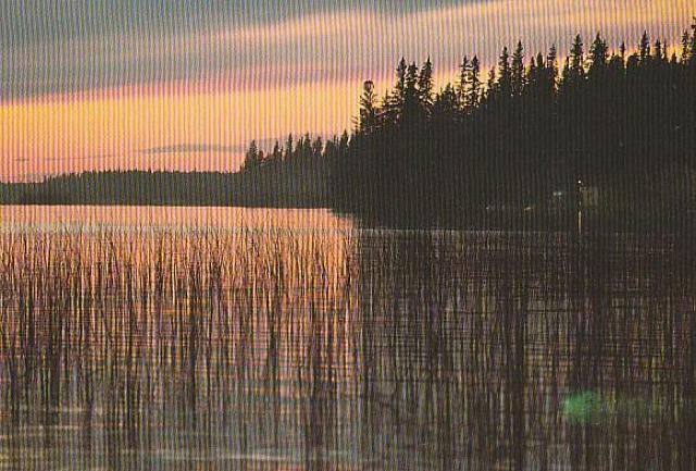 カナダ 郵便絵はがき8¢1970年代 3種【F-11】 < ホビー カナダ 郵便絵はがき8¢1970年代 3種【F-11】 < ホビーの