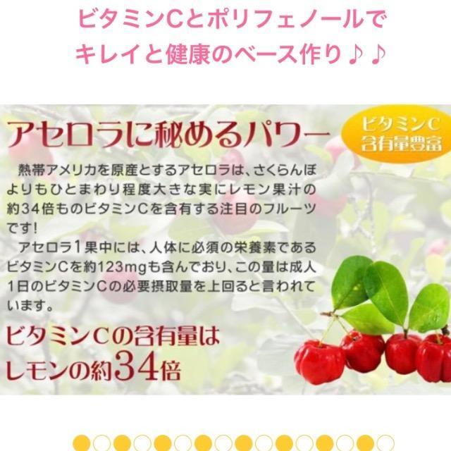 アセロラ ビタミンC サプリメント 約3ヵ月分ダイエット 美容 < ヘルス/ビューティー  アセロラ ビタミンC サプリメント 約3ヵ月分ダイエット 美容 < ヘルス/ビューティーの