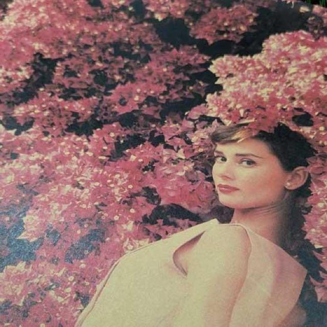 Viy|X^[zAudrey Hepburn^I[h[Ewvo[@u[QrA  zr[ 