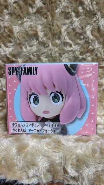 SPY?FAMILY  XpCt@~[@ftHtBMA@ځ@A[jEtH[W[   Aj/R~bN/LN^[ 