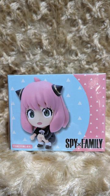 SPY?FAMILY  XpCt@~[@ftHtBMA@ځ@A[jEtH[W[  Aj/R~bN/LN^[ 