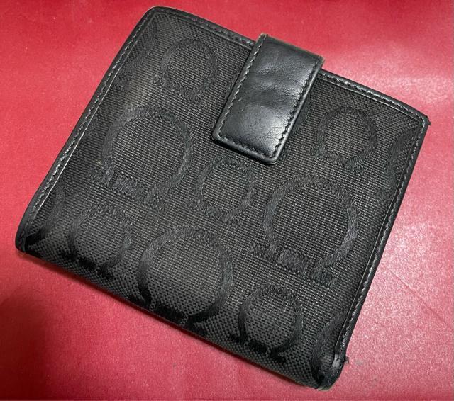 1�X�^ ����l�C���T���o�g�[���E�t�F���K���@�K���`�[�j�@�܍��z