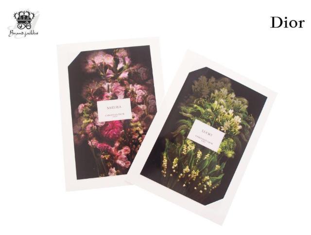 ] NX`fBI[ tHgJ[h 2  TNEbL[  2022 M R{W DioryKiz   uh 