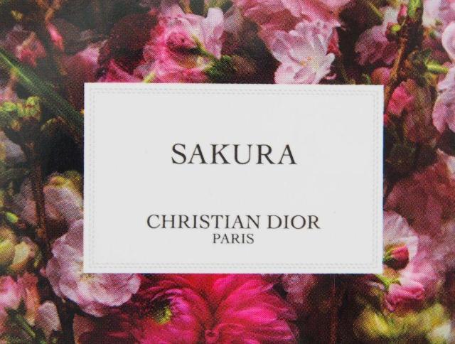 ] NX`fBI[ tHgJ[h 2  TNEbL[  2022 M R{W DioryKiz  uh 