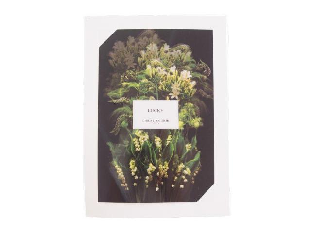 ] NX`fBI[ tHgJ[h 2  TNEbL[  2022 M R{W DioryKiz  uh 