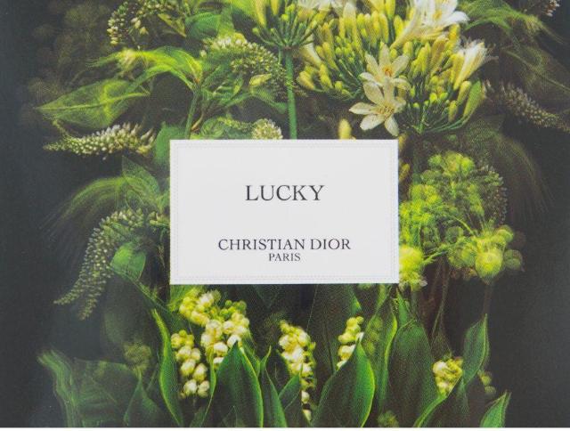 ] NX`fBI[ tHgJ[h 2  TNEbL[  2022 M R{W DioryKiz  uh 