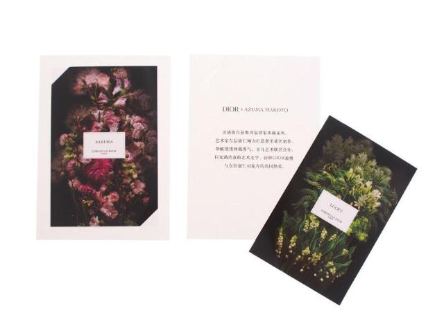 ] NX`fBI[ tHgJ[h 2  TNEbL[  2022 M R{W DioryKiz  uh 