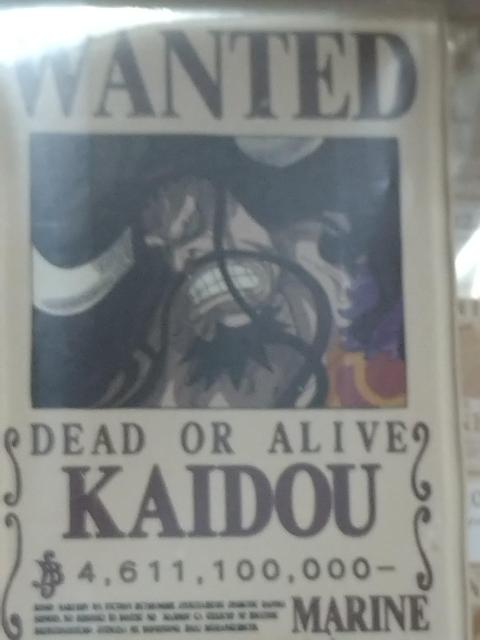  s[X  L}Olbc JChE (KAIDOU) LN^[}Olbg  zr[ 