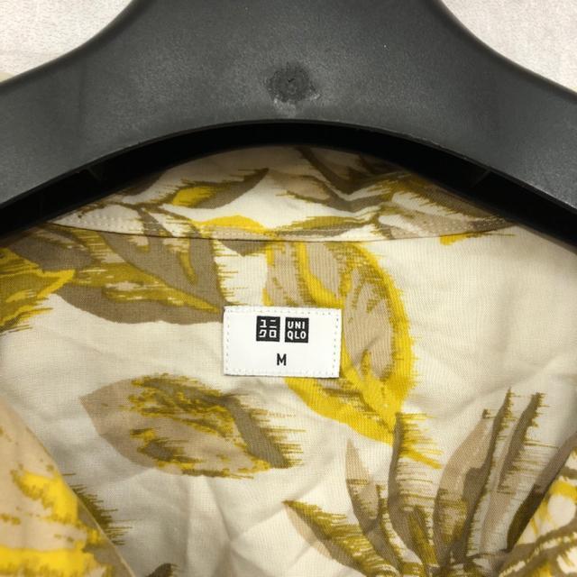  UNIQLO jN vgI[vJ[Vc  uh 