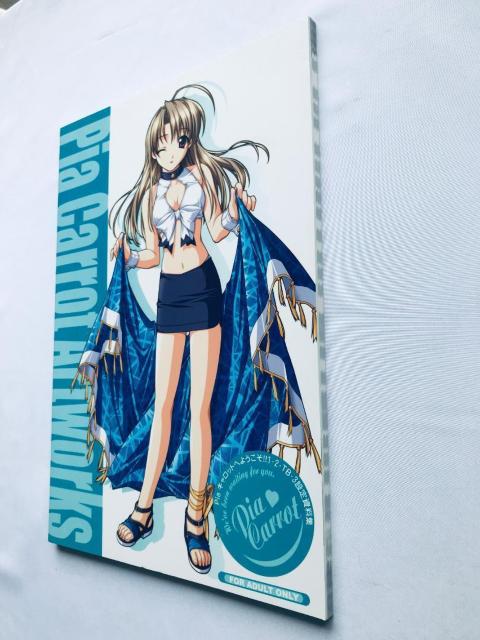 Pia Lbgւ悤II 1E2ETBE3@ݒ莑W A[g[NX Welcome to Pia Carrot!!  Q[{/\tg 